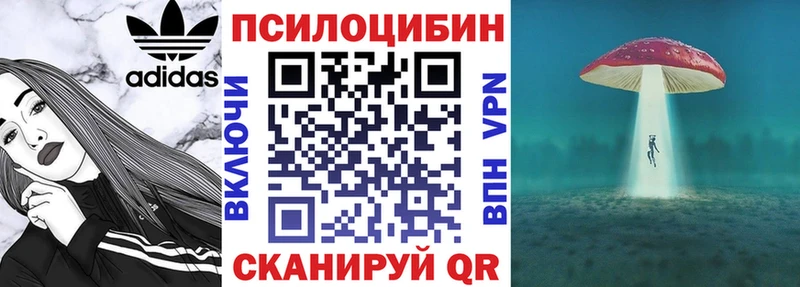 мега ТОР  площадка Telegram  Псилоцибиновые грибы мицелий  Егорьевск 